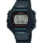 Casio dw290-1v 4866J875 accesorio