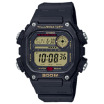 Casio dw291h-9av 4866J658 accesorio