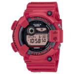 Casio gw8230nt-4 4866J119 accesorio
