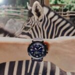Casio prg601yb-2 4866J488 accesorio - Image 8