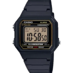 Casio w217h-9av 4866J884 accesorio