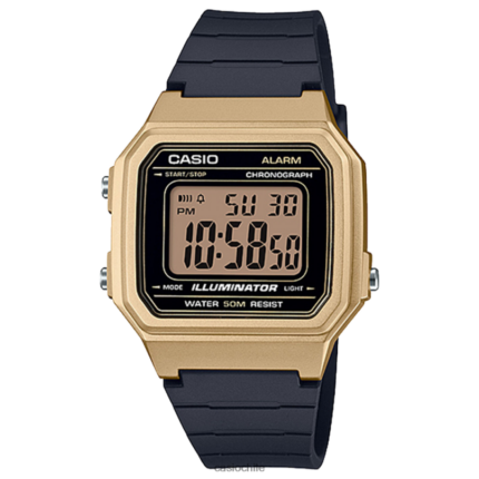 Casio w217hm-9av 4866J663 accesorio