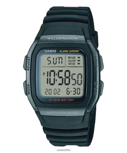 Casio w96h-1bv 4866J891 accesorio