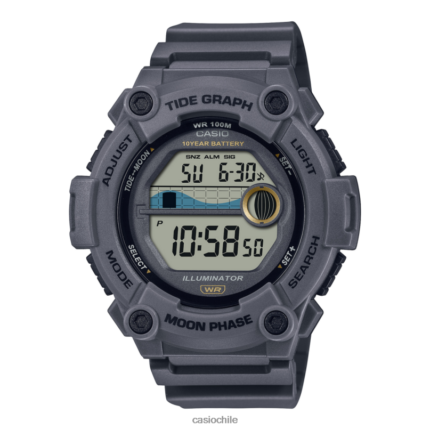 Casio ws1300h-8av 4866J613 accesorio