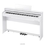 Casio ap-s450we 4866J992 accesorio