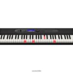 Casio lk-s450 4866J953 accesorio